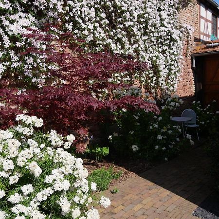 Au Gre Des Chateaux Goxwiller ภายนอก รูปภาพ
