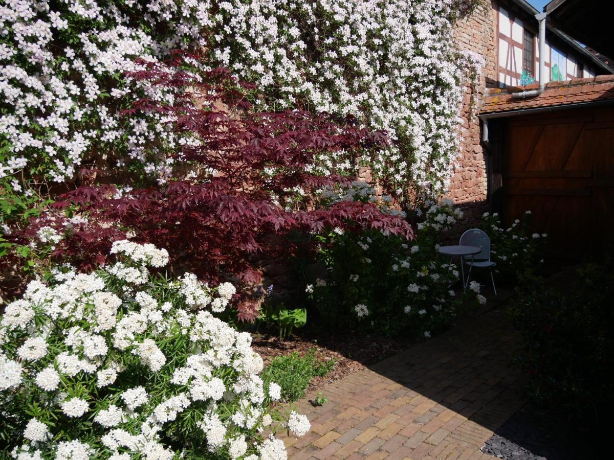 Au Gre Des Chateaux Goxwiller ภายนอก รูปภาพ